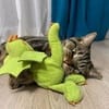 안진우 avatar